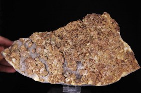 dolomit-quarz-pyrit-zeche-pluto-ruhrgebiet_07547